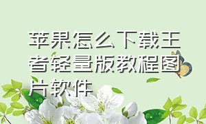 苹果怎么下载王者轻量版教程图片软件