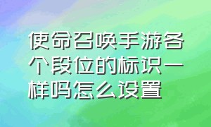 使命召唤手游各个段位的标识一样吗怎么设置