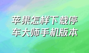 苹果怎样下载停车大师手机版本