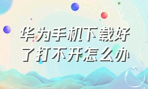 华为手机下载好了打不开怎么办