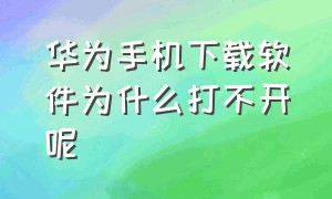 华为手机下载软件为什么打不开呢