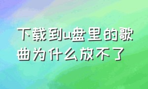 下载到u盘里的歌曲为什么放不了