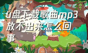 u盘下载歌曲mp3放不出来怎么回事