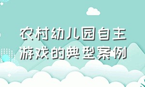 农村幼儿园自主游戏的典型案例