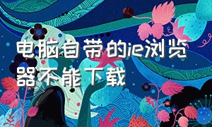 电脑自带的ie浏览器不能下载