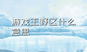 游戏王野区什么意思