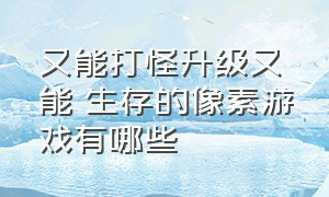 又能打怪升级又能 生存的像素游戏有哪些