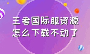 王者国际服资源怎么下载不动了