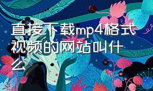 直接下载mp4格式视频的网站叫什么