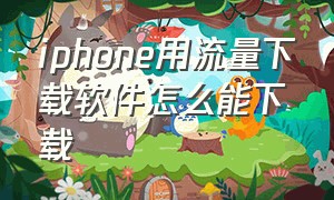 iphone用流量下载软件怎么能下载