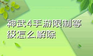 神武4手游限制等级怎么解除