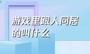 游戏里跟人同居的叫什么