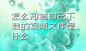 怎么知道自己下载的视频文件是什么