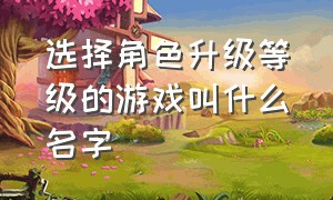 选择角色升级等级的游戏叫什么名字