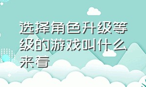 选择角色升级等级的游戏叫什么来着