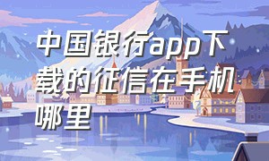 中国银行app下载的征信在手机哪里