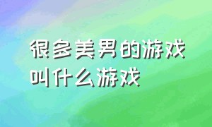 很多美男的游戏叫什么游戏