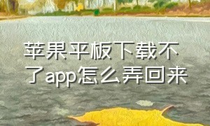 苹果平板下载不了app怎么弄回来