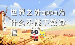 世界之外oppo为什么不能下载微信