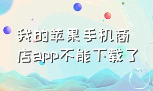 我的苹果手机商店app不能下载了