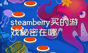 steamberry买的游戏秘密在哪