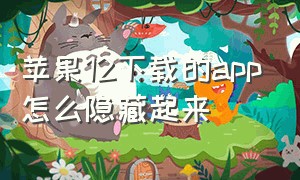 苹果12下载的app怎么隐藏起来