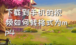 下载到手机的视频如何转格式为mp4