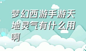 梦幻西游手游天地灵气有什么用啊