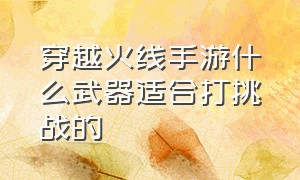 穿越火线手游什么武器适合打挑战的