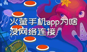 火萤手机app为啥没网络连接