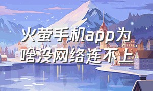 火萤手机app为啥没网络连不上