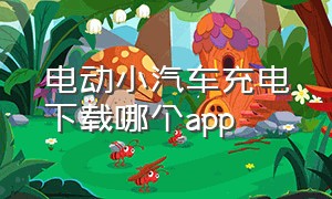 电动小汽车充电下载哪个app