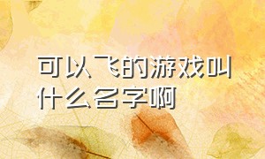 可以飞的游戏叫什么名字啊