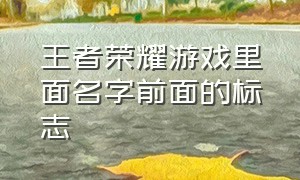 王者荣耀游戏里面名字前面的标志