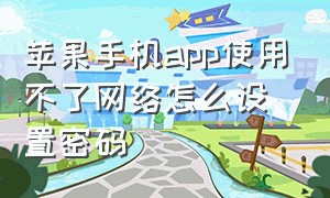 苹果手机app使用不了网络怎么设置密码