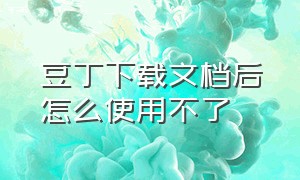 豆丁下载文档后怎么使用不了