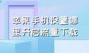 苹果手机设置哪里开启流量下载