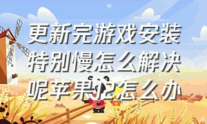 更新完游戏安装特别慢怎么解决呢苹果12怎么办