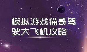 模拟游戏猫哥驾驶大飞机攻略