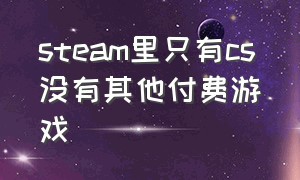 steam里只有cs没有其他付费游戏