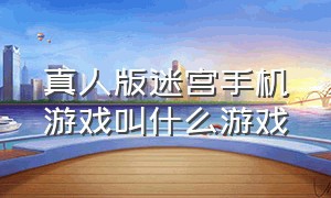 真人版迷宫手机游戏叫什么游戏