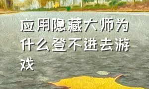 应用隐藏大师为什么登不进去游戏