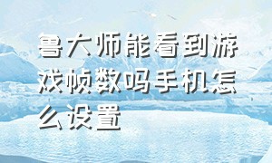 鲁大师能看到游戏帧数吗手机怎么设置