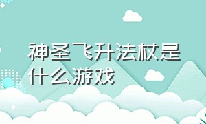 神圣飞升法杖是什么游戏