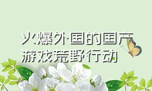 火爆外国的国产游戏荒野行动