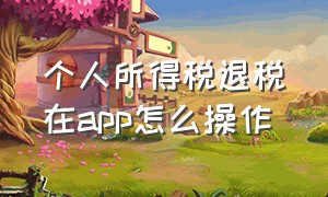 个人所得税退税在app怎么操作