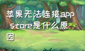 苹果无法连接app store是什么原因