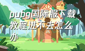 pubg国际服下载教程进不去怎么办