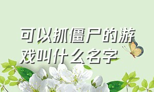 可以抓僵尸的游戏叫什么名字