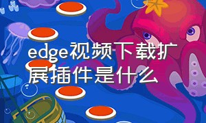 edge视频下载扩展插件是什么